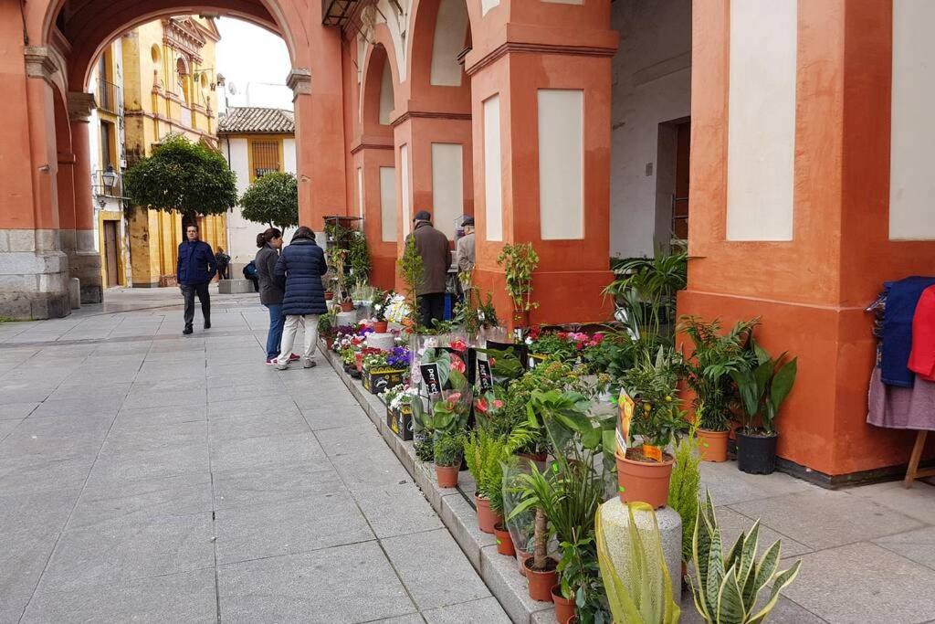 Apartamento San Pedro-Corredera Córdoba Exterior foto